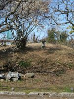 宇都宮市多功神塚古墳群