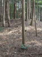 益子町田中古墳群1_2号墳