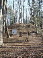 市貝町多田羅1号墳（大神宮古墳）