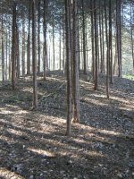 市貝町多田羅古墳群2_3号墳