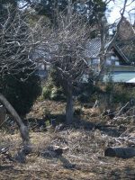 下野市舘ノ内古墳群1_2号墳