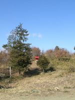 壬生町桃花原古墳