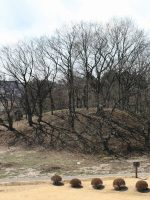 宇都宮市塚山西古墳