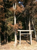 真岡市富士山古墳