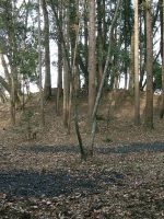 益子町山の神古墳