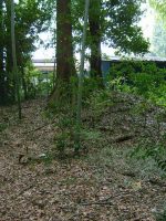 宇都宮市山崎古墳群