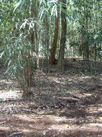 壬生町山崎古墳群1_2_3号墳