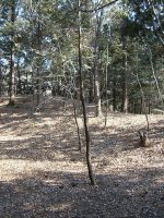 真岡市山崎古墳群第1号墳