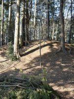 真岡市山崎古墳群第4号墳