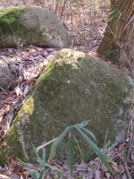 市貝町頼朝塚古墳群4号墳