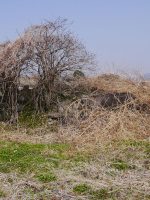 東吾妻町太田村27号古墳