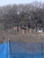 美里町生野山古墳群16号墳