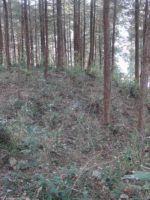 足利市熊野山古墳群7_8_9号墳