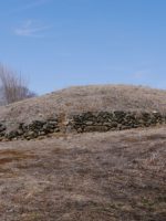 高崎市多胡古墳群寺ノ上支群T208_T207_T206