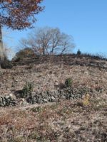 高崎市多胡古墳群寺ノ上支群T220_T217_T219_T214_T215