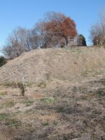 高崎市多胡古墳群寺ノ上支群T210_T218_T209_T211_T212