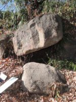 高崎市多胡古墳群寺ノ上支群T229