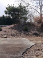 高崎市多胡古墳群T55_T58_T63_T68号墳